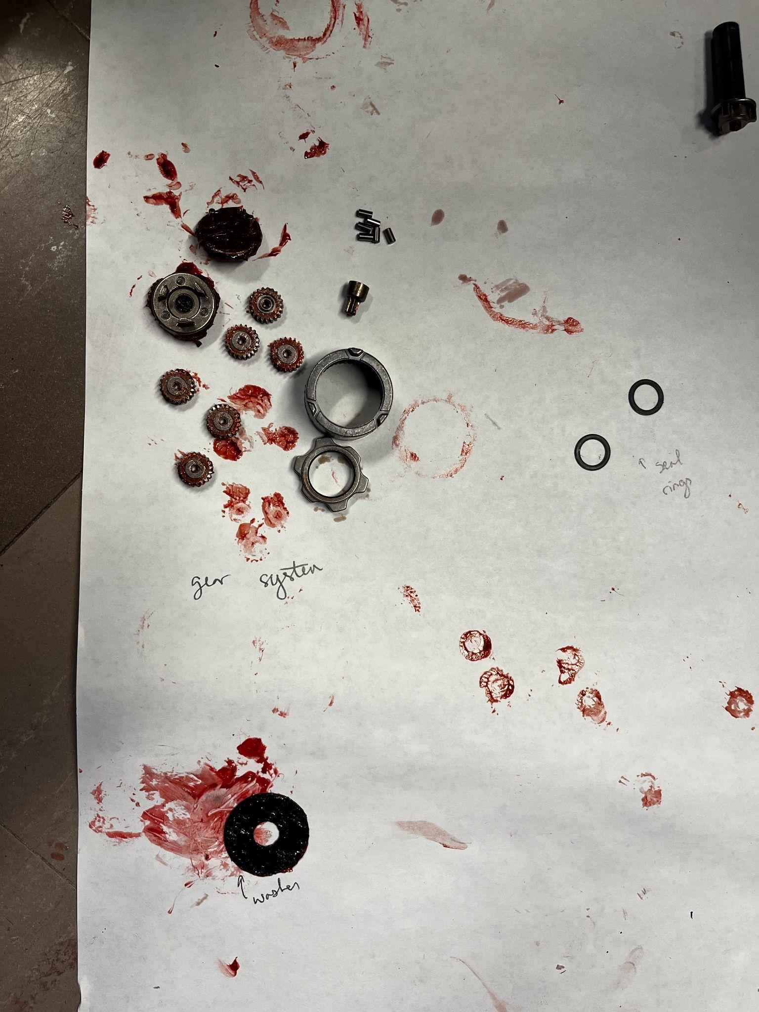 Small gears, bearings, rings, and other internal screwdriver components arranged after disassembly.